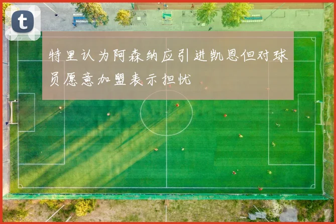特里认为阿森纳应引进凯恩但对球员愿意加盟表示担忧